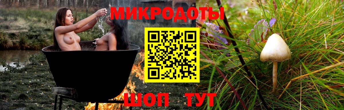 Менделеевск  Галлюциногенные грибы Psilocybine cubensis  Псилоцибиновые грибы мухоморы  Вход с VPN 